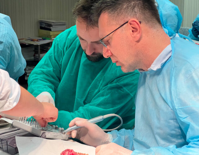 Curriculum Implantologii. Polskie Stowarzyszenie Implantologiczne. Sesja w Katowicach organizowana we współpracy z BEGO Implant Systems - galeria zdjęć